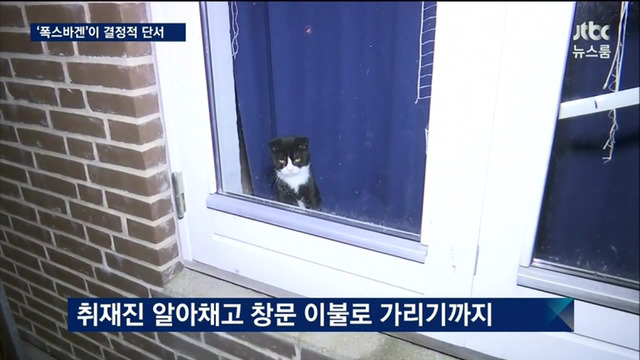 정유라네 고양이.jpg | 인스티즈