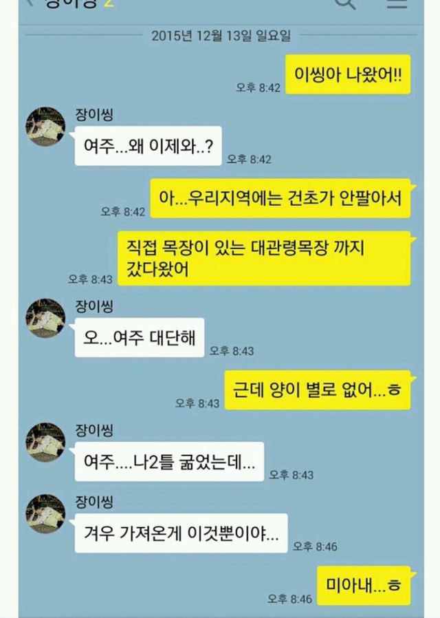 이젠 사람 아니고 동물이다 유니콘 영고엑 | 인스티즈