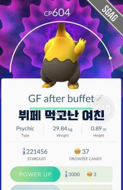 포켓몬고 작명센스 | 인스티즈