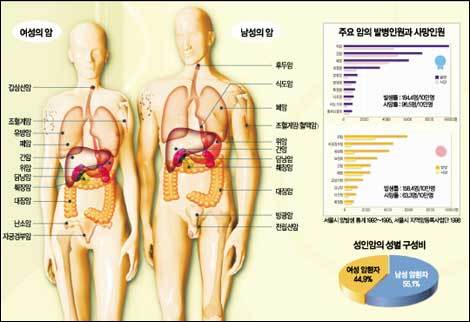 조기박사 이미지