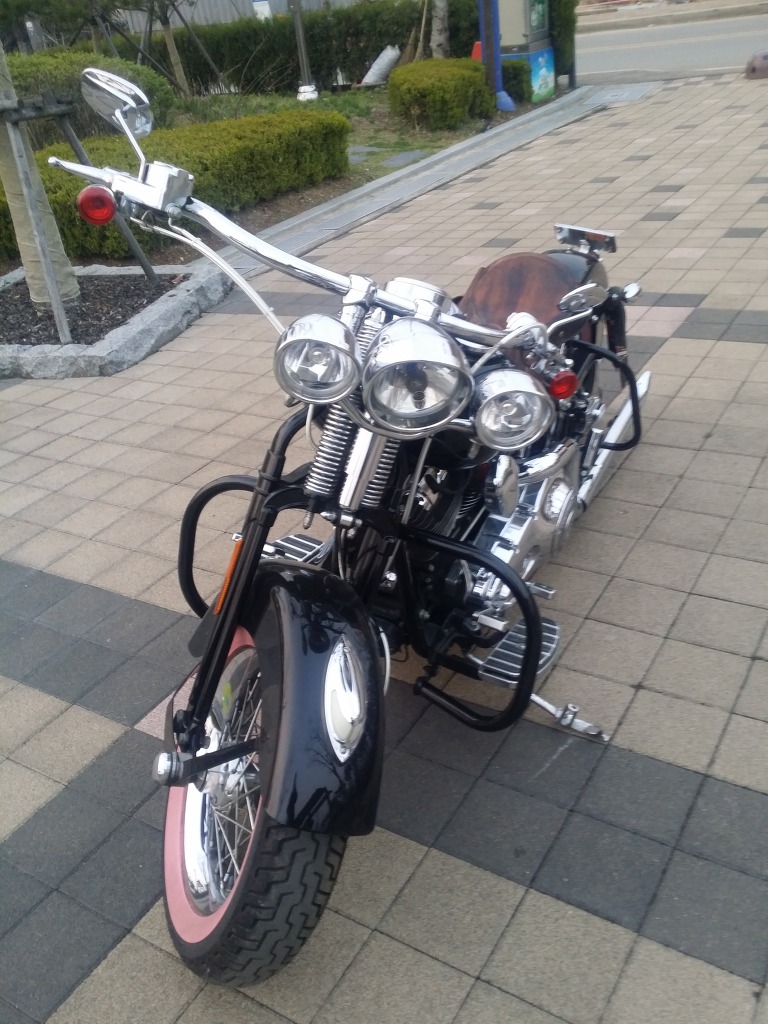 스프링거 이미지