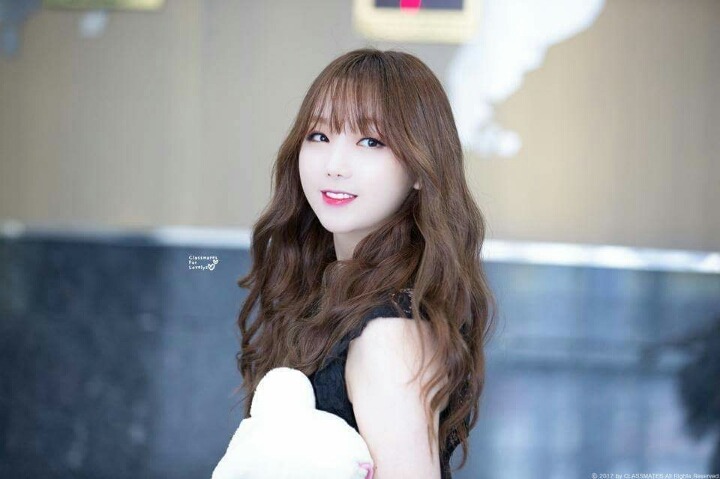 [러블리즈] 고양이가 다시 건깅해져서 유지애 | 인스티즈