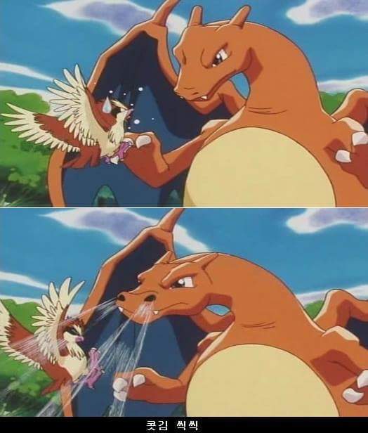 포켓몬스터 지우 인성 수준.jpg | 인스티즈