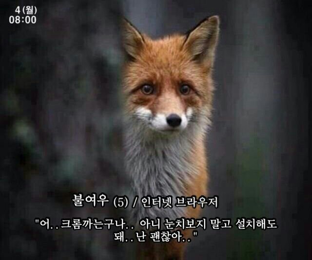 콘서트에서 팬들 분실물 찾아주는 경호업체 | 인스티즈