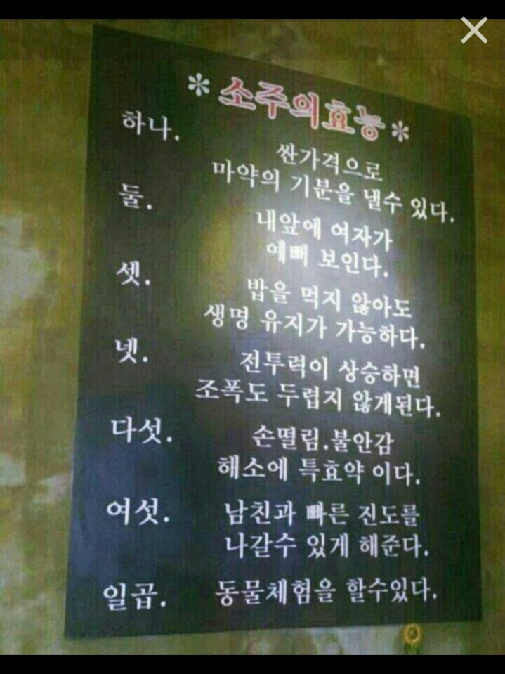 소주의 효능 | 인스티즈