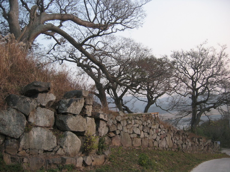 숲쟁이 이미지