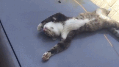 아저씨 여기서 주무시면안돼요.gif | 인스티즈