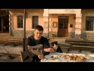 맛있는건 나눠먹는거라고 했다냥 | 인스티즈