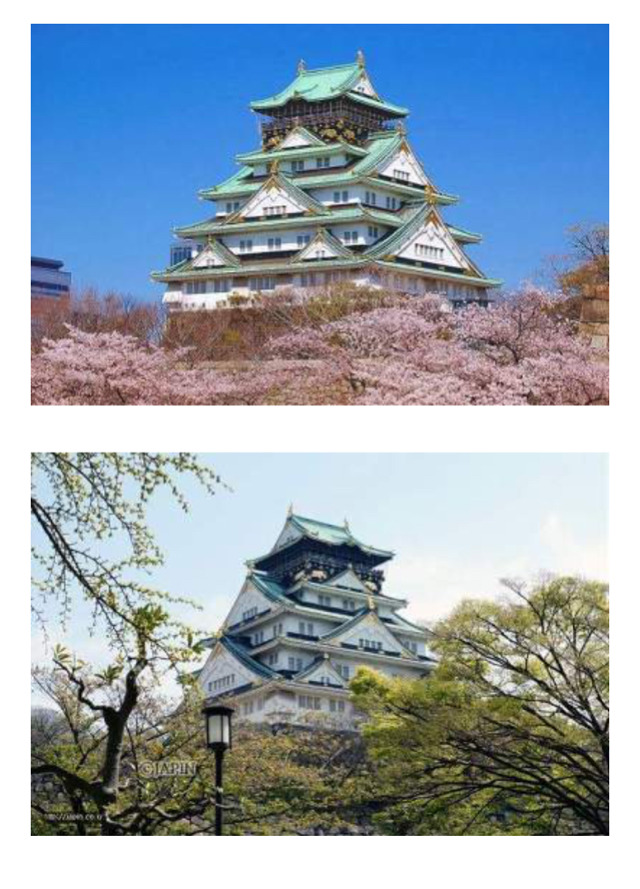 일본 오사카성 가지말아줘 오사카 성 의 진실임 이게 | 인스티즈