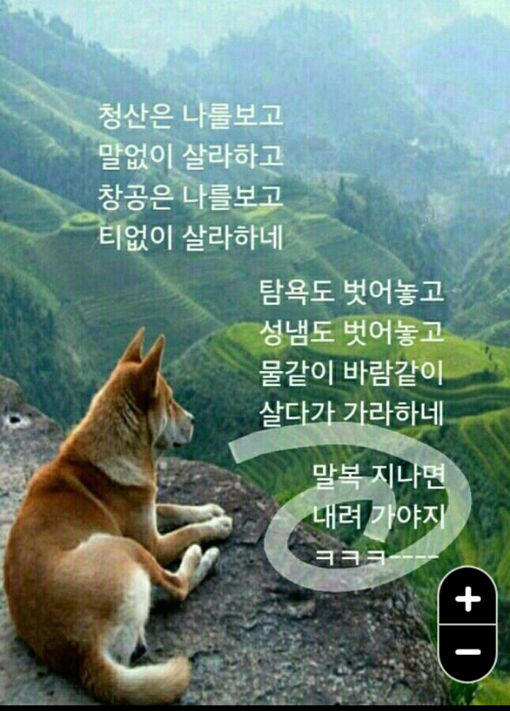 복 이미지