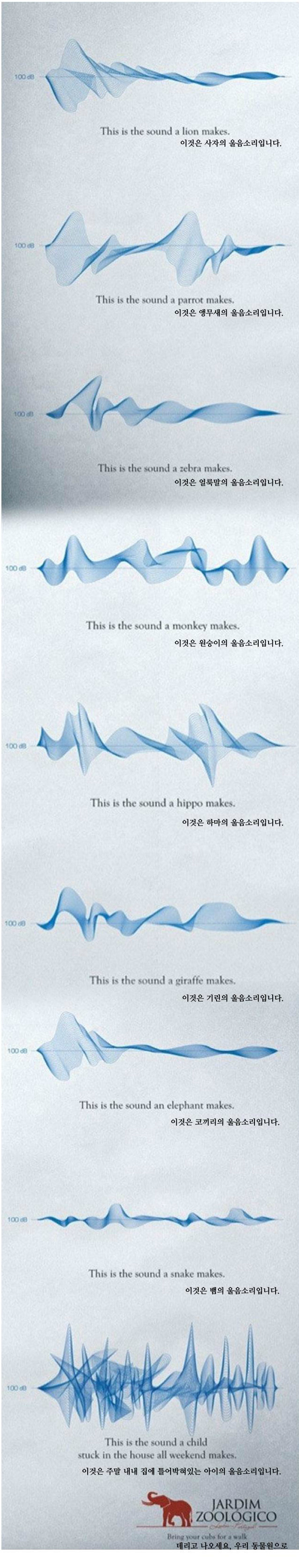 어느 동물원의 기발한 광고 | 인스티즈