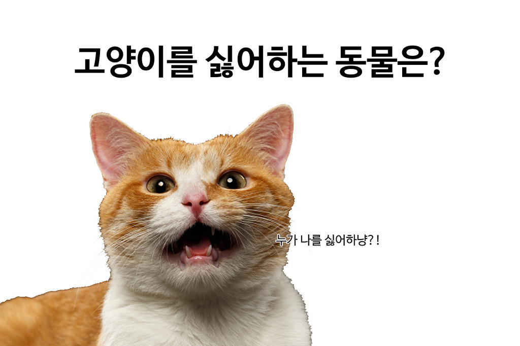 7개의 유머 중 최소 하나는 웃김 | 인스티즈