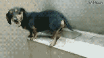 거기 있어라 간다 .gif | 인스티즈
