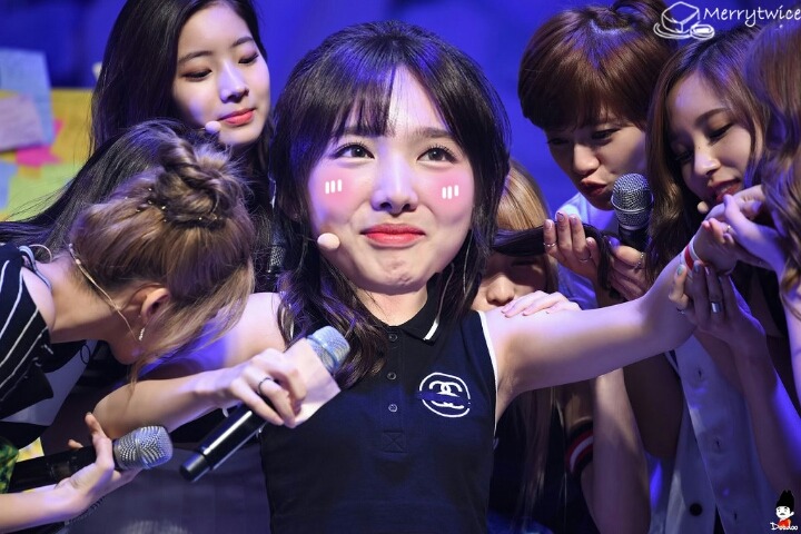 트와이스 애기들.gif | 인스티즈