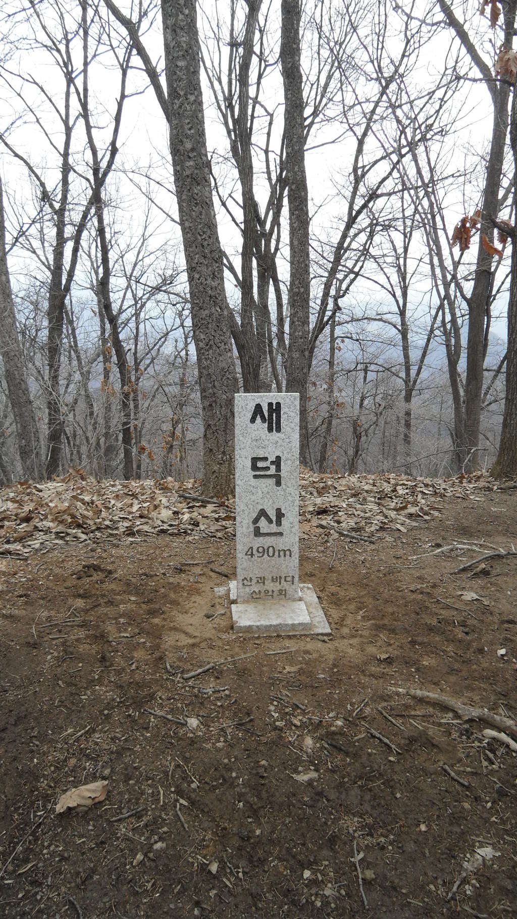 서천초등학교 이미지