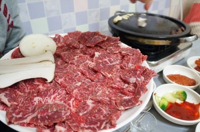 양지 이미지