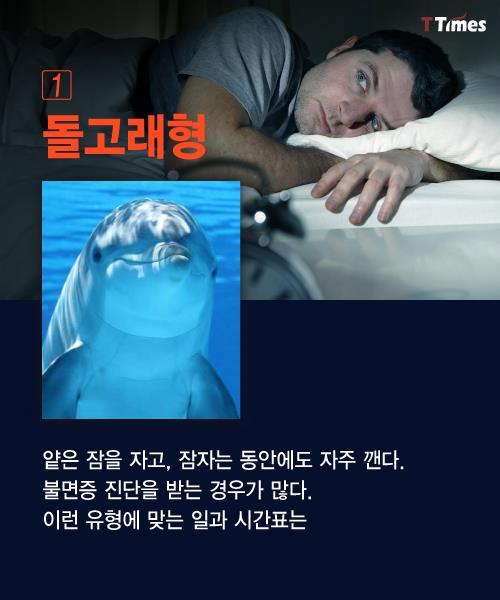 수면 패턴으로 알아보는 인간형 분류 | 인스티즈