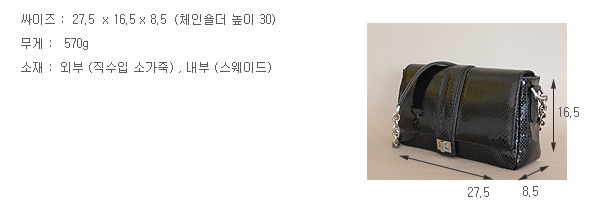 디온스 이미지
