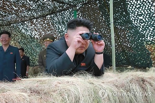 뽑기돼지 이미지