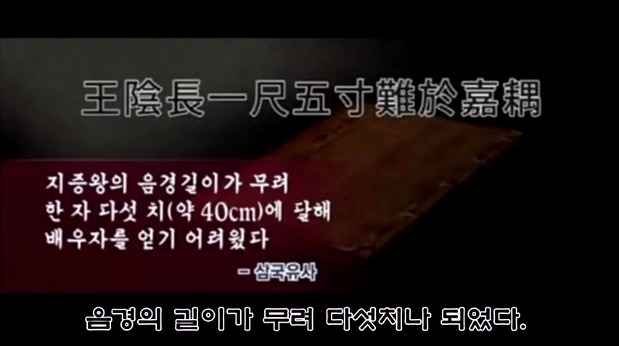 신라 지증왕의 성기길이 | 인스티즈
