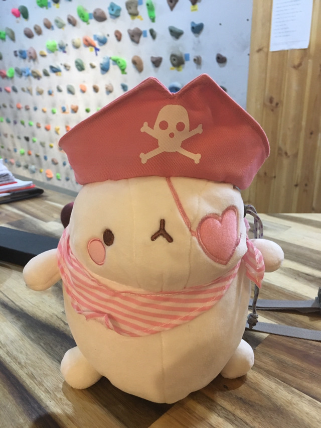 몽랑 이미지