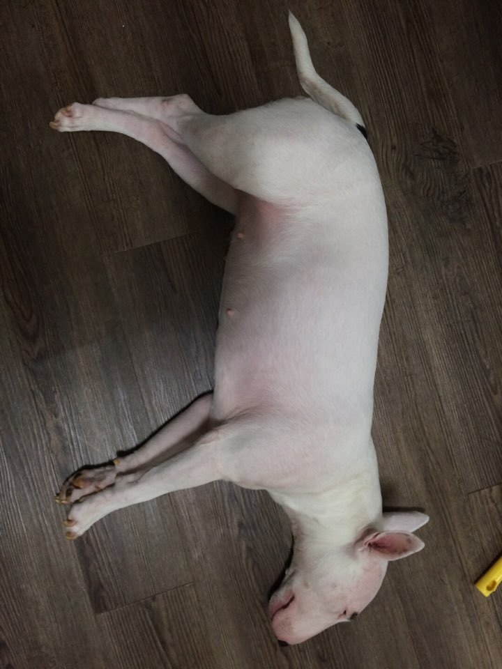 정람 이미지