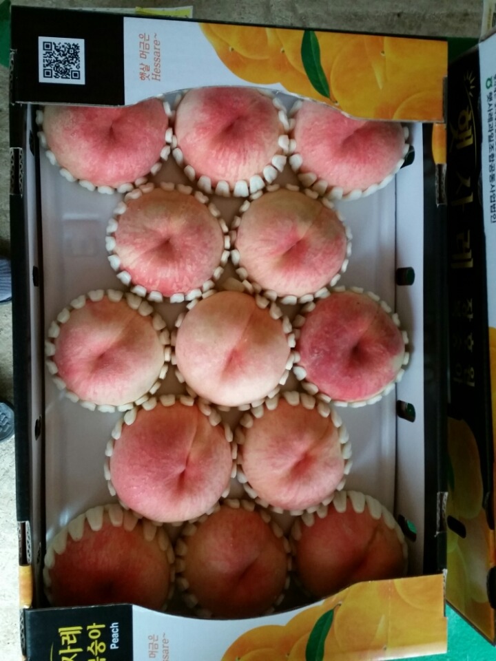 하나농원 이미지