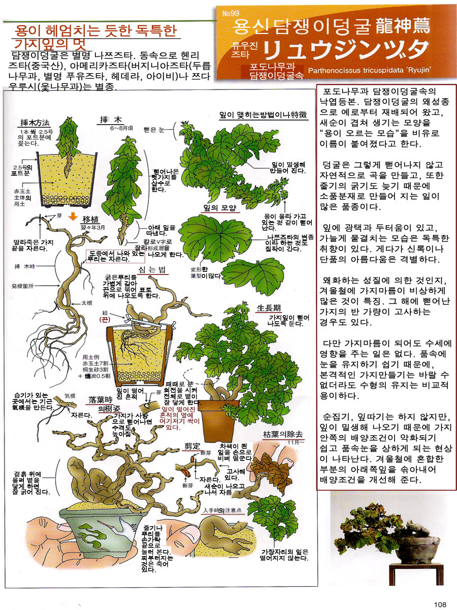 용신 이미지