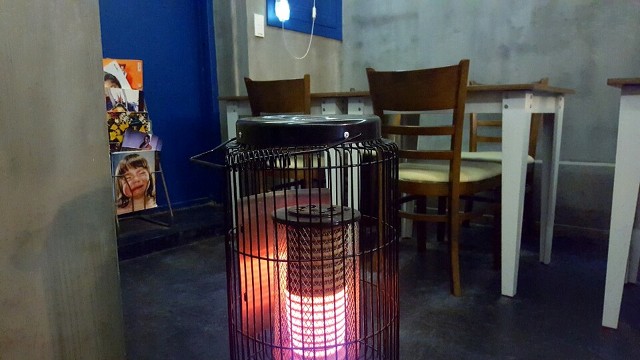 그동안 찍은 사진들 | 인스티즈