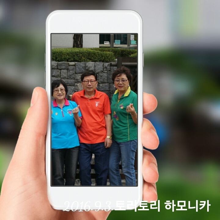 토리토리 이미지