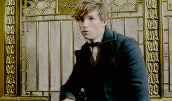 ＜신비한 동물사전2 에 대한 포터모어 오피셜 정리 | 인스티즈