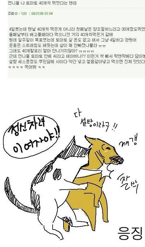 토마토 다이어트 | 인스티즈