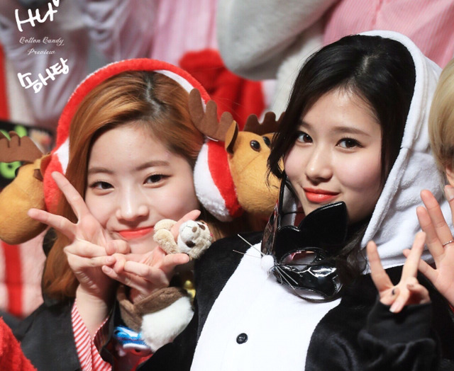 팬더사 이미지