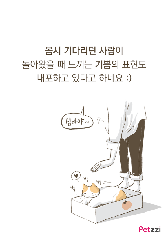 고양이가 긁는 이유(만화).jpg | 인스티즈