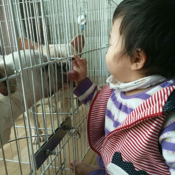 포포모모 이미지