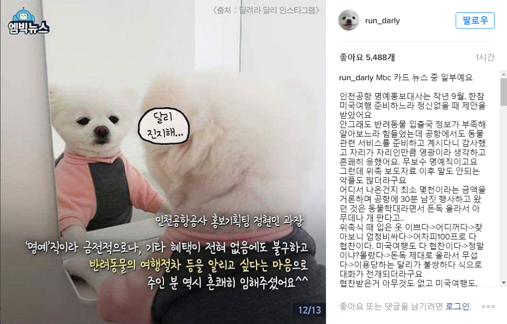 이젠 강아지까지 질투해서 허위사실 유포하는 러들 | 인스티즈