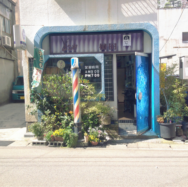 많은 사람들이 좋아하는 일본 특유의 청량감있고 아련한 분위기 | 인스티즈