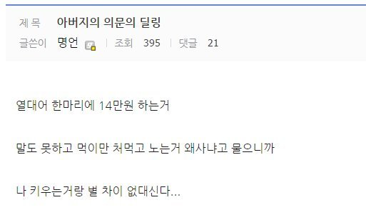아버지가 열대어를 키우는 이유 | 인스티즈