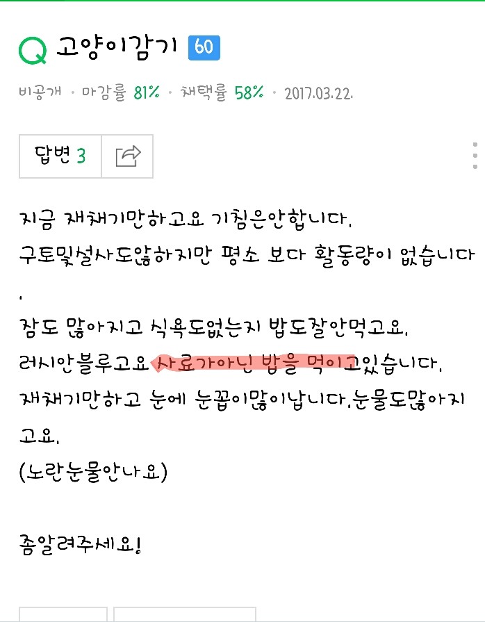 고양이한테 사료아닌 밥을 주고 있는데요.... | 인스티즈