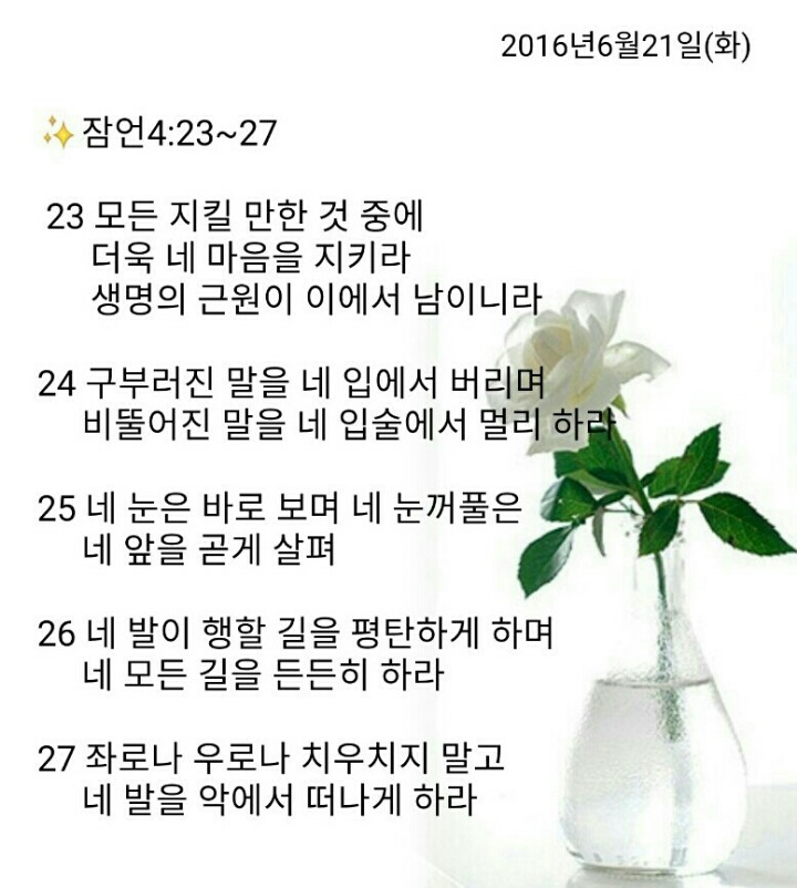 백향 이미지