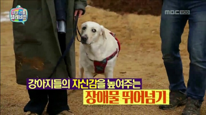 [마리텔] 조련당하는 민아 | 인스티즈