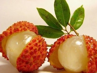 리치 이미지