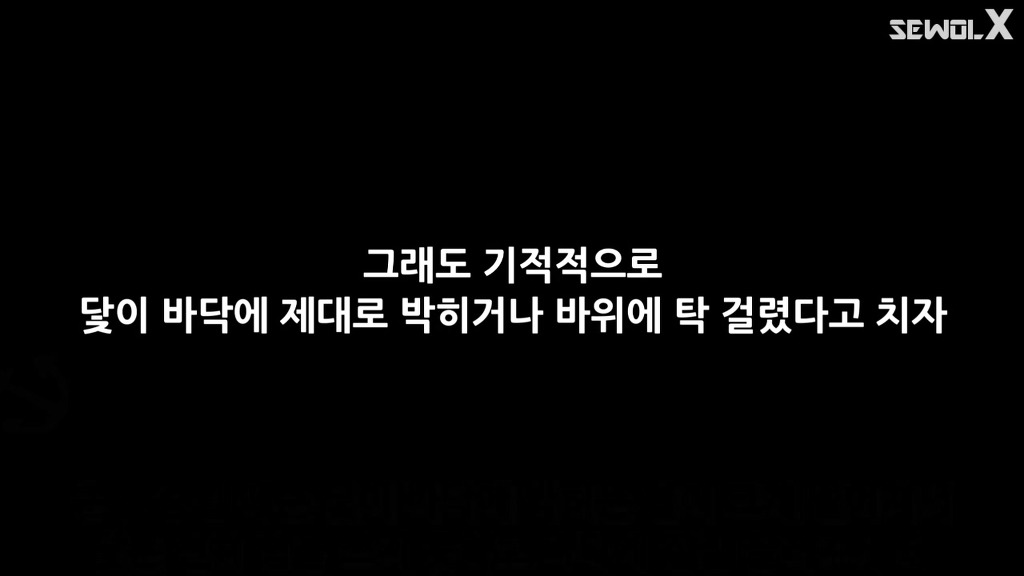파파이스 닻 고의침몰설에 반박하는 자로 세월 X | 인스티즈