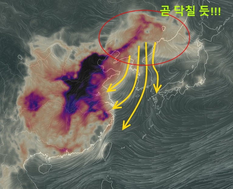 오늘자 중국은 지구의 폐암 | 인스티즈