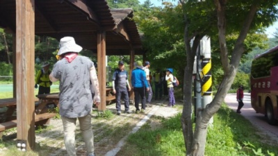 서교수선 이미지