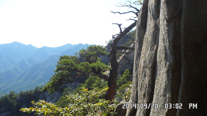 세대차이 이미지
