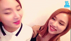 [트와이스] 대표 케미 미챙(미나+채영) 달달한 분위기 짤들.gif | 인스티즈
