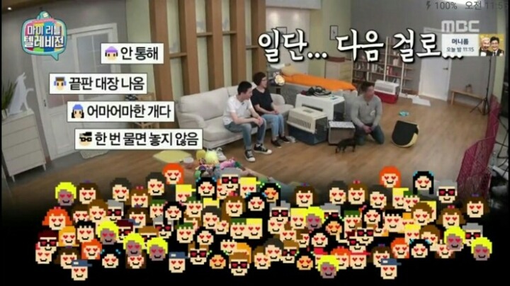[마리텔] 강형욱 훈련사도 포기한 강아지 도비 | 인스티즈