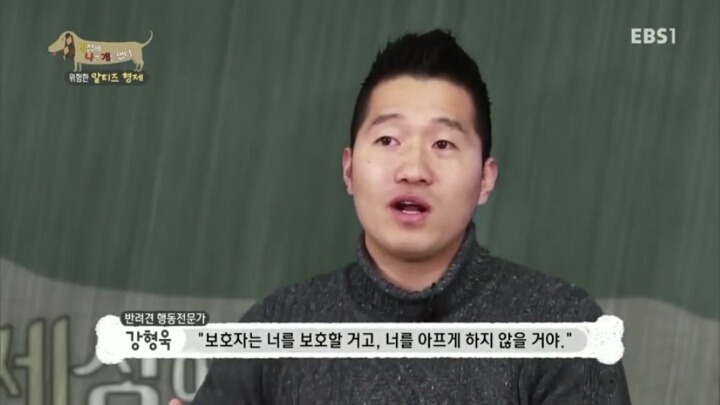 공격적인 반려견이 되는 이유 2부.jp | 인스티즈