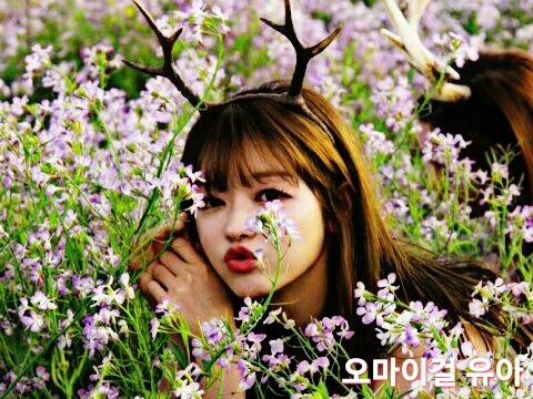 치과에서 바가지요금 피하는 방법 | 인스티즈